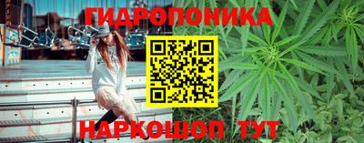 мяу мяу мука Комсомольск-на-Амуре