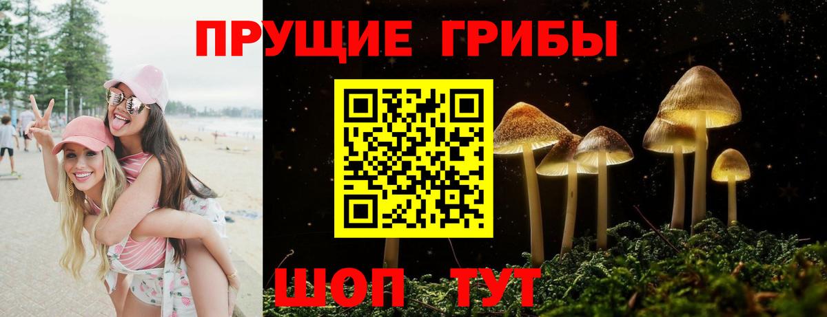 Псилоцибиновые грибы GOLDEN TEACHER  Вход с VPN  Котлас 